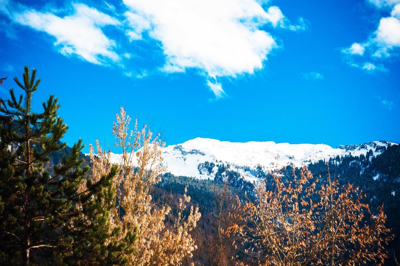 Résidence Néméa Le Grand Tétras Samoëns Esterno foto